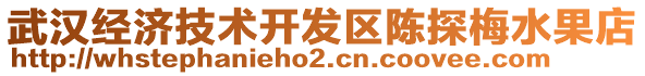 武漢經(jīng)濟(jì)技術(shù)開發(fā)區(qū)陳探梅水果店