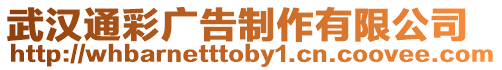 武漢通彩廣告制作有限公司