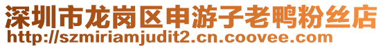 深圳市龍崗區申游子老鴨粉絲店