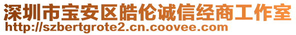 深圳市寶安區皓倫誠信經商工作室