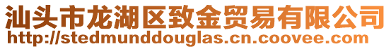 汕頭市龍湖區致金貿易有限公司