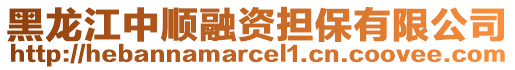 黑龍江中順融資擔保有限公司