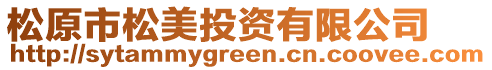 松原市松美投資有限公司