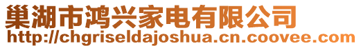 巢湖市鴻興家電有限公司