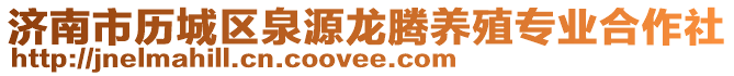 濟(jì)南市歷城區(qū)泉源龍騰養(yǎng)殖專業(yè)合作社