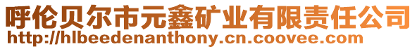 呼倫貝爾市元鑫礦業(yè)有限責(zé)任公司