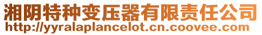 湘陰特種變壓器有限責任公司