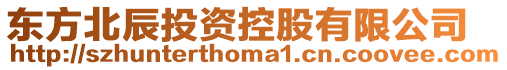 東方北辰投資控股有限公司