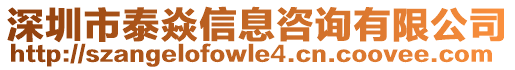 深圳市泰焱信息咨詢有限公司