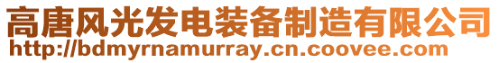 高唐風(fēng)光發(fā)電裝備制造有限公司