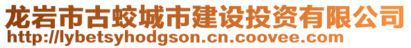 龍巖市古蛟城市建設投資有限公司