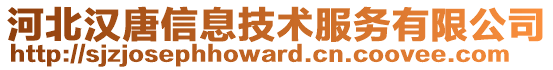 河北漢唐信息技術(shù)服務(wù)有限公司