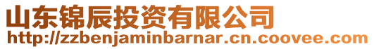 山東錦辰投資有限公司