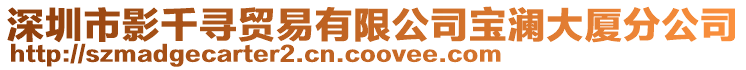 深圳市影千尋貿易有限公司寶瀾大廈分公司
