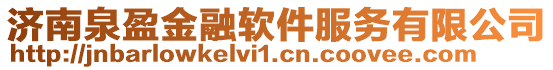 濟南泉盈金融軟件服務有限公司