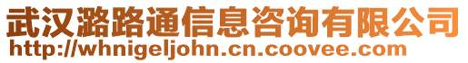 武漢潞路通信息咨詢有限公司