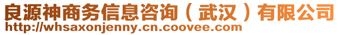 良源神商務(wù)信息咨詢（武漢）有限公司