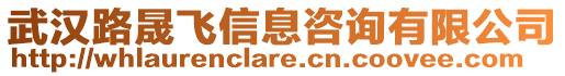 武漢路晟飛信息咨詢有限公司