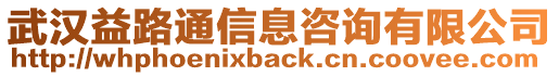 武漢益路通信息咨詢有限公司