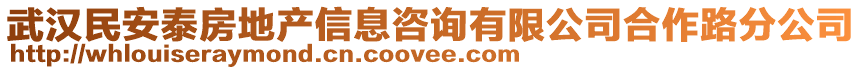 武漢民安泰房地產信息咨詢有限公司合作路分公司