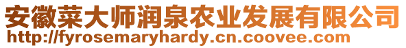 安徽菜大師潤(rùn)泉農(nóng)業(yè)發(fā)展有限公司