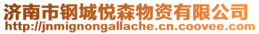濟(jì)南市鋼城悅森物資有限公司