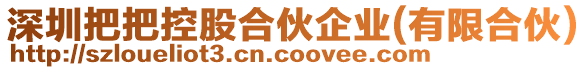 深圳把把控股合伙企業(有限合伙)