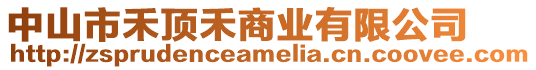 中山市禾頂禾商業(yè)有限公司