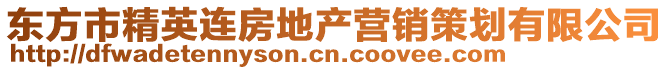 東方市精英連房地產(chǎn)營(yíng)銷策劃有限公司