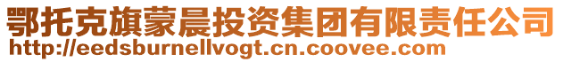 鄂托克旗蒙晨投資集團有限責任公司