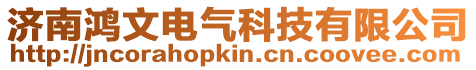 濟南鴻文電氣科技有限公司
