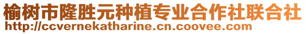 榆樹市隆勝元種植專業合作社聯合社