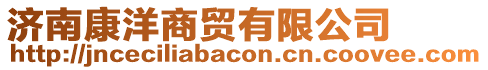 濟南康洋商貿有限公司