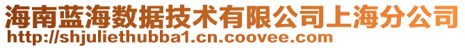 海南藍海數據技術有限公司上海分公司