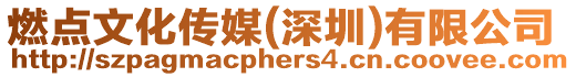 燃點文化傳媒(深圳)有限公司