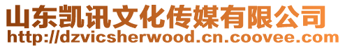 山東凱訊文化傳媒有限公司
