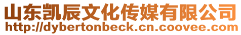 山東凱辰文化傳媒有限公司