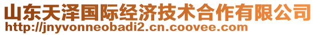 山東天澤國際經濟技術合作有限公司