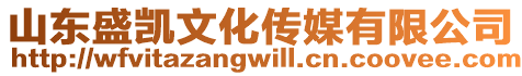 山東盛凱文化傳媒有限公司
