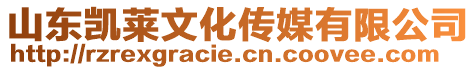 山東凱萊文化傳媒有限公司