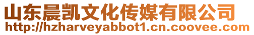 山東晨凱文化傳媒有限公司