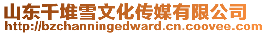 山東千堆雪文化傳媒有限公司