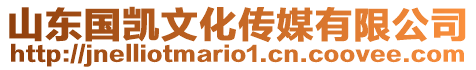 山東國凱文化傳媒有限公司