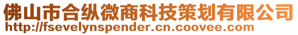 佛山市合縱微商科技策劃有限公司
