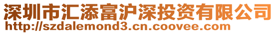 深圳市匯添富滬深投資有限公司