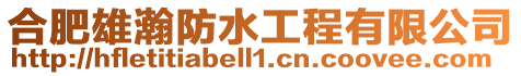 合肥雄瀚防水工程有限公司