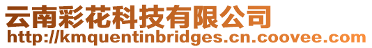 云南彩花科技有限公司