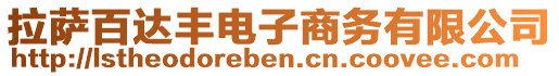 拉薩百達(dá)豐電子商務(wù)有限公司