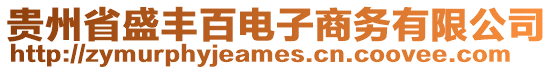 貴州省盛豐百電子商務(wù)有限公司