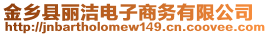 金鄉(xiāng)縣麗潔電子商務(wù)有限公司